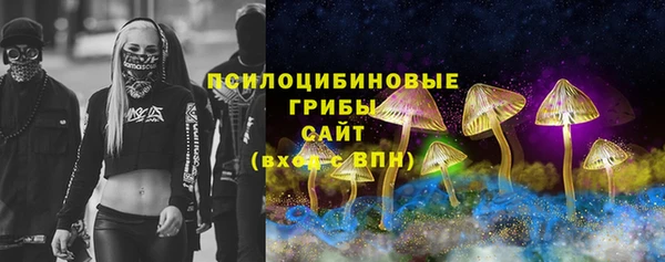 дмт Липки